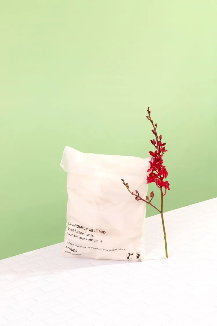1000 X Clear Biodegradable Medium Mailer 250X340mm Compostable Bag Satchels