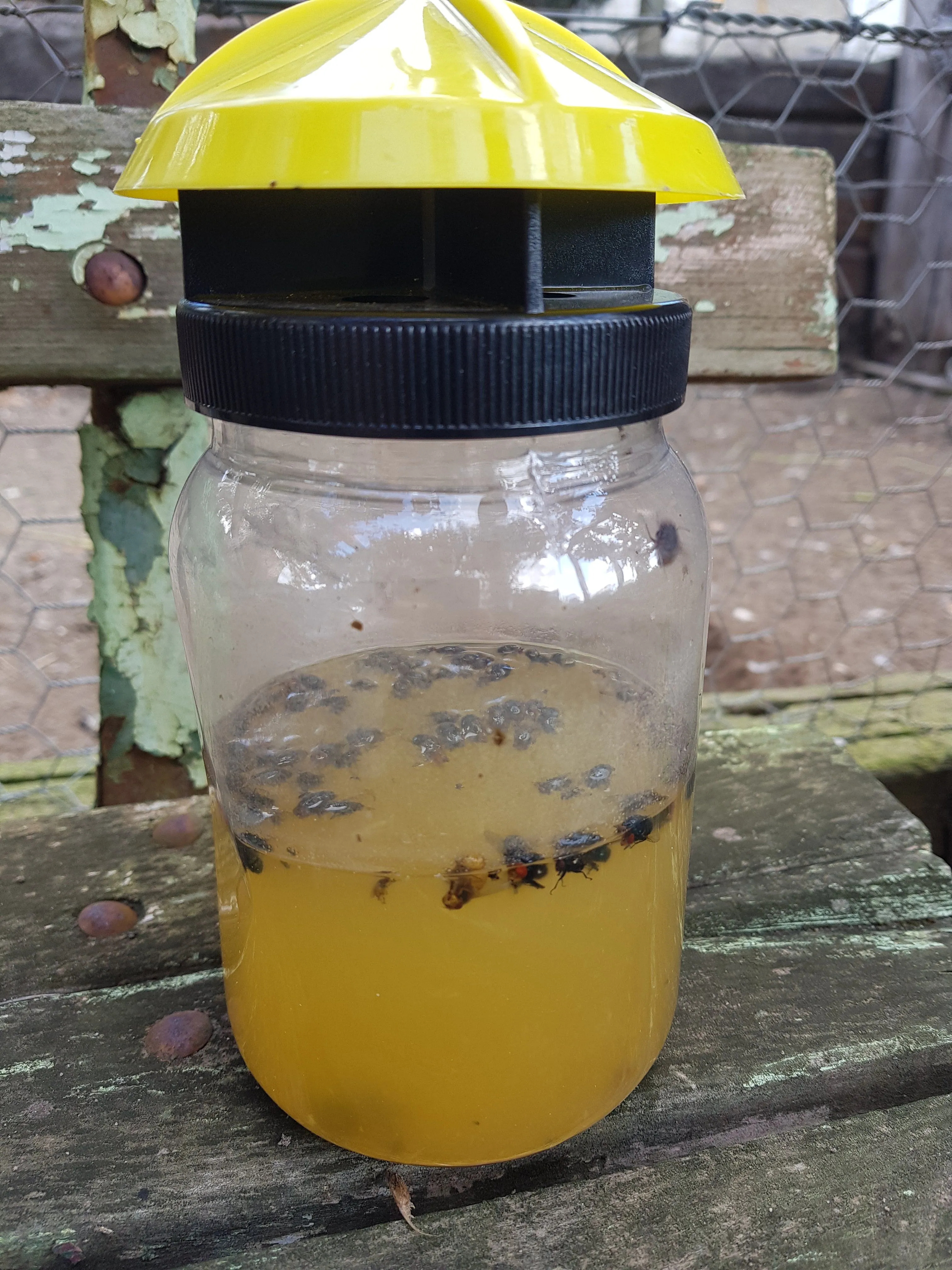 Bio Fly Trap